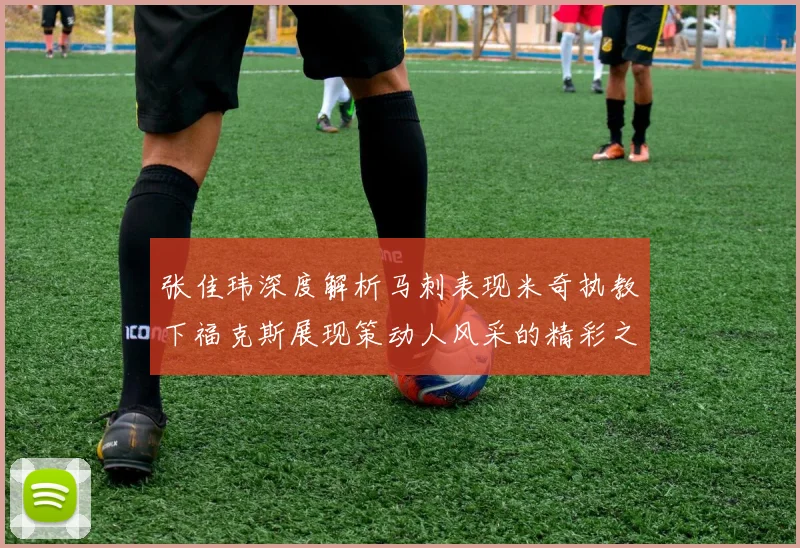 张佳玮深度解析马刺表现米奇执教下福克斯展现策动人风采的精彩之战