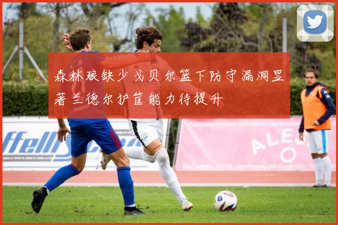 森林狼缺少戈贝尔篮下防守漏洞显著兰德尔护筐能力待提升