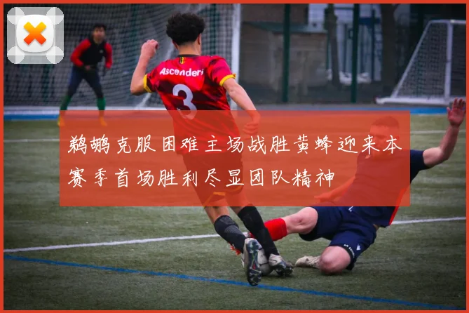 鹈鹕克服困难主场战胜黄蜂迎来本赛季首场胜利尽显团队精神